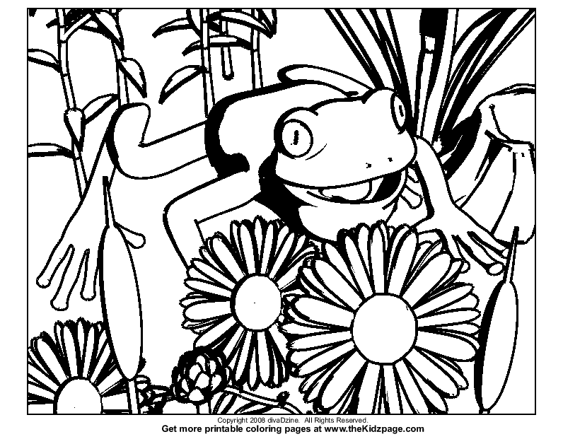 Frog and Flowers Free Coloring Pages for Kids - Printable 