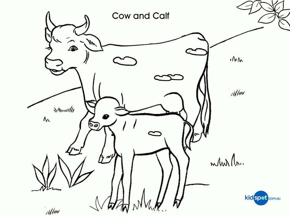 Kids Activities - Cow - Colouring Pages