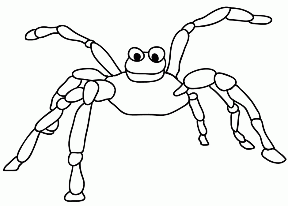 Spider Coloring Sheet Free Coloring Pages Free Printable 180829 