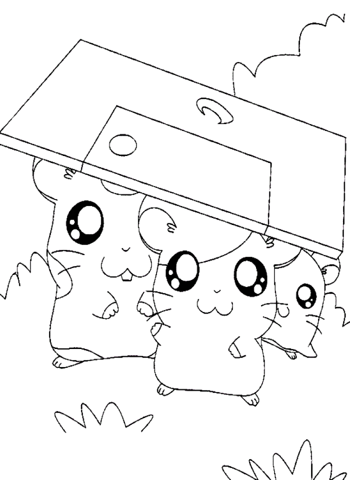 Hamtaro and Howdy Hiding Coloring Page - Cartoon Coloring Pages on 