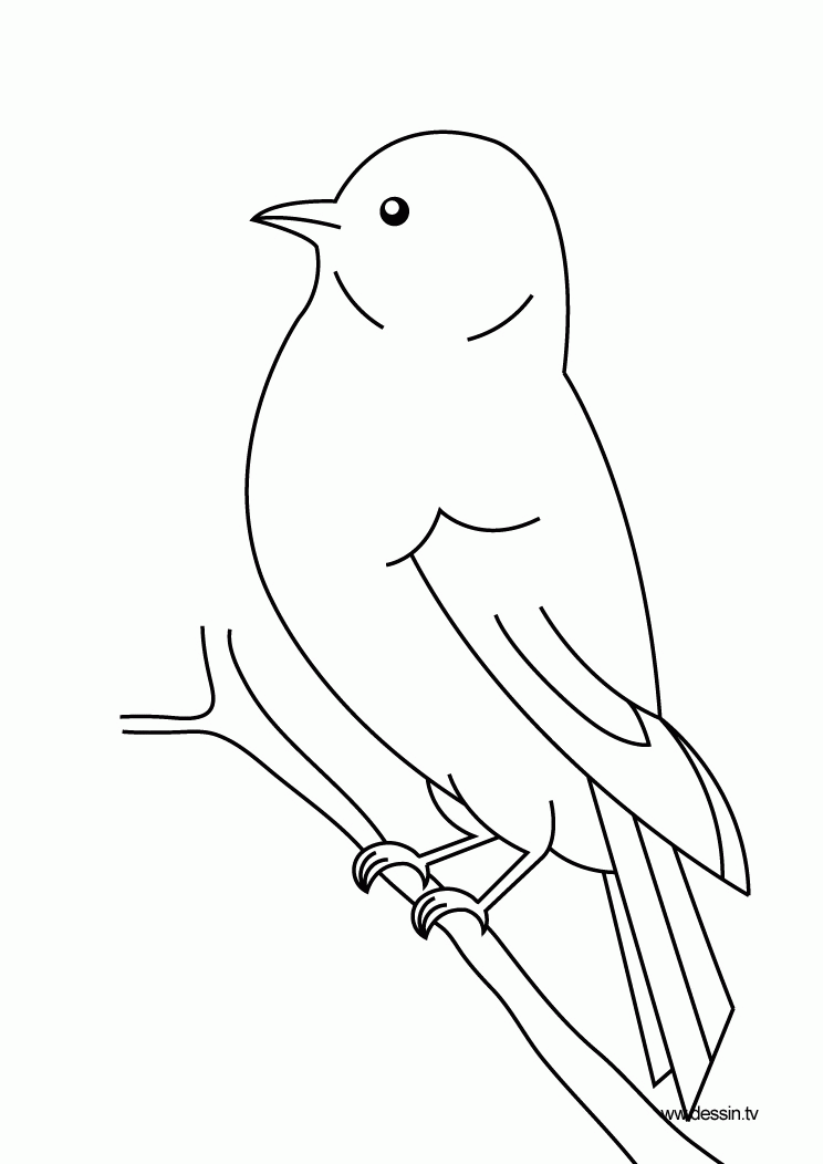 Bird Coloring Pages For Kids | children coloring pages | Printable 