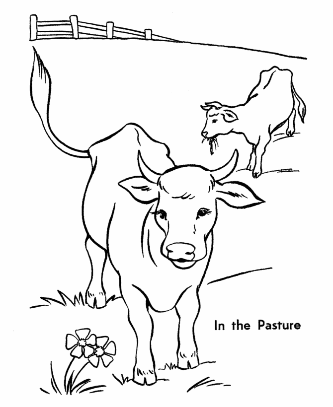 printable Cow Coloring Pages for kids | Great Coloring Pages