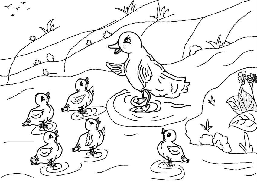 the ugly duckling Colouring Pages (page 3)