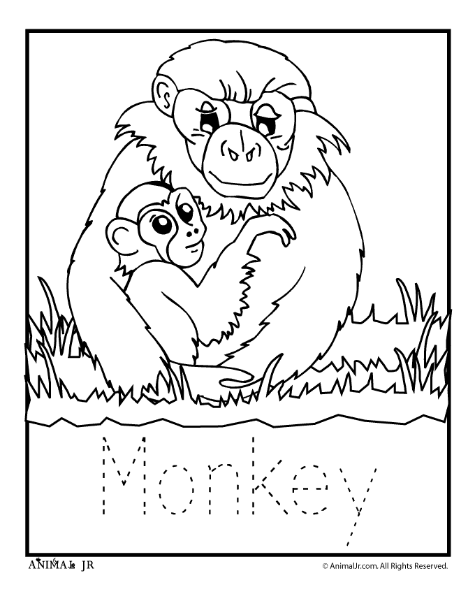 Pin by Rachel L. on Kids-Zoo printables, coloring pages, clip arts | …