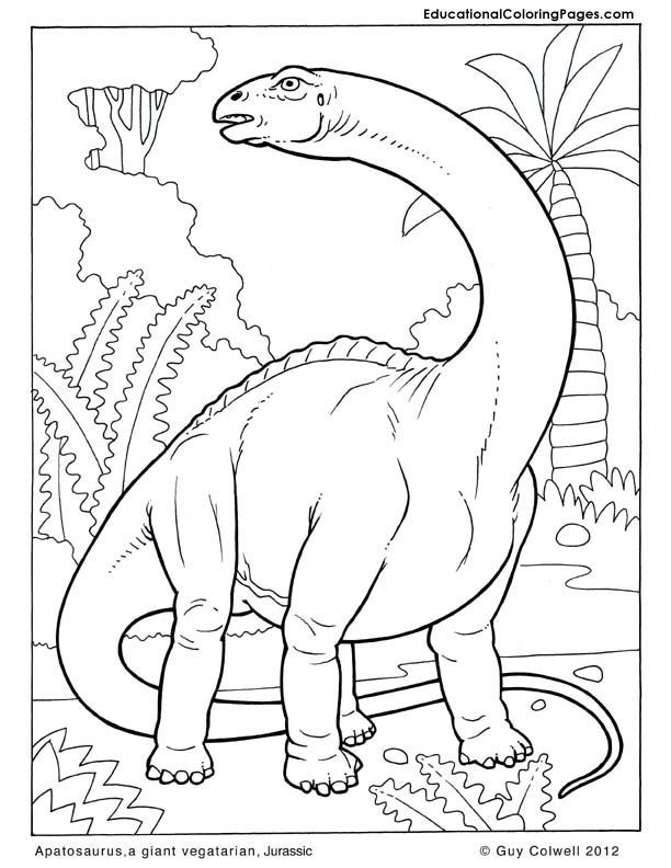 Apatosaurus coloring page | Coloring Pages/LineArt Dinosaurs | Pinter…