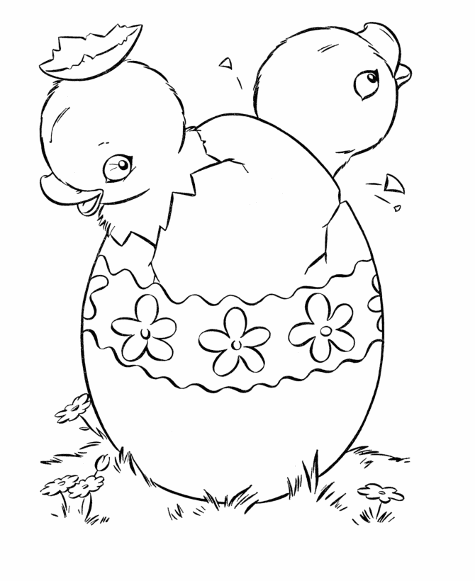 Baby Chicks Coloring Pages | Animal Coloring pages | Printable 