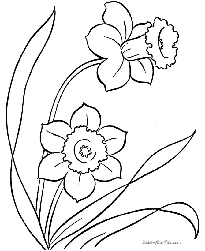 Coloring pictures of flowers