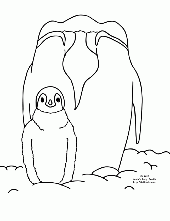 Emperor Penguin and Baby