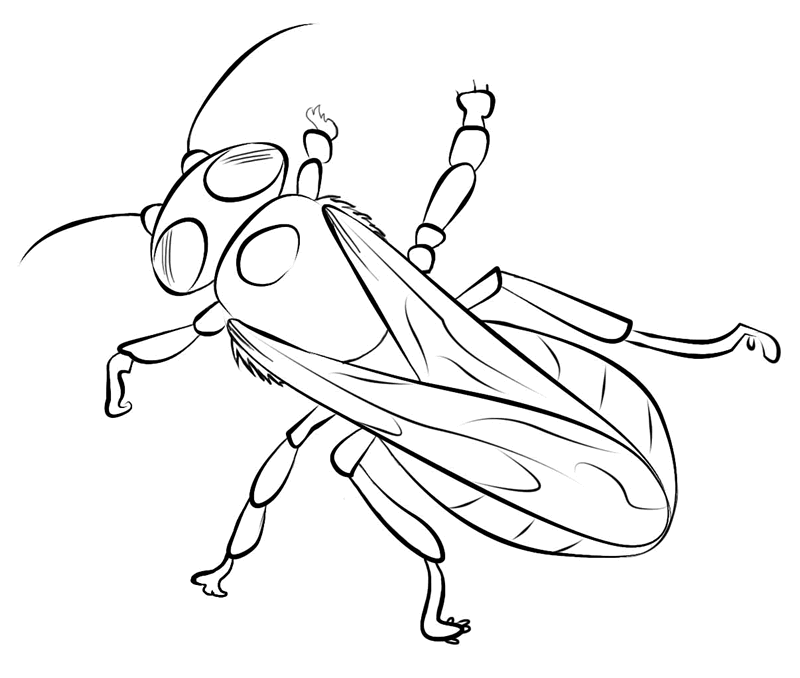 FREE Bee Coloring Picture 4