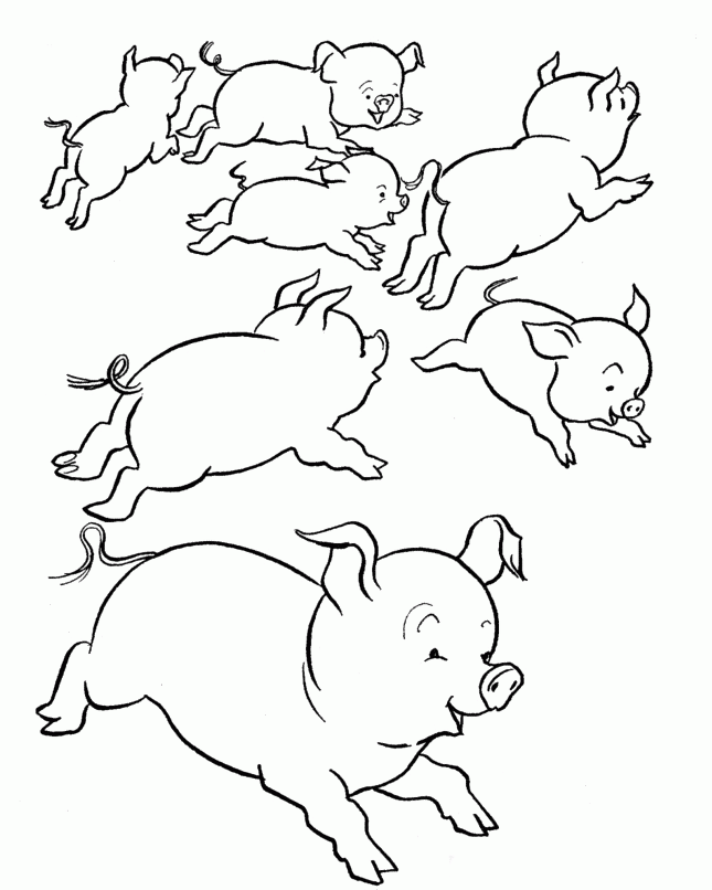 Pictures Of Pigs To Color - Coloring Home