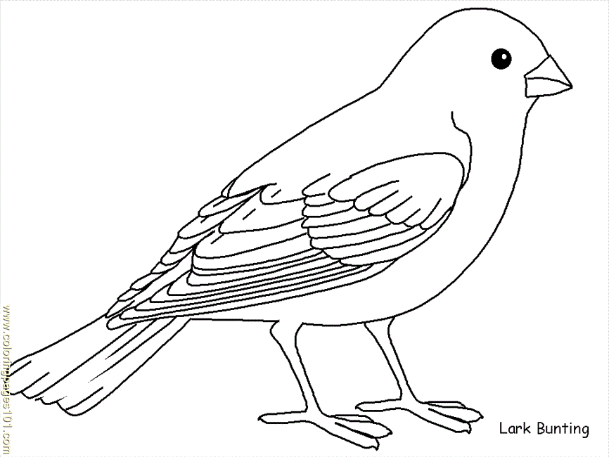 Coloring Pages Larkbunting (Animals > Birds) - free printable 