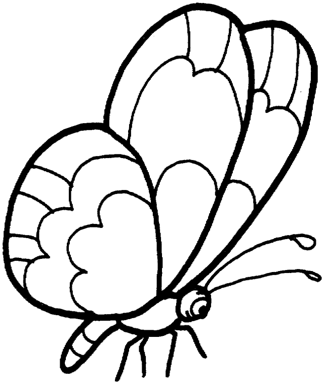 printable Butterfly Coloring Pages for kids | Coloring Pages