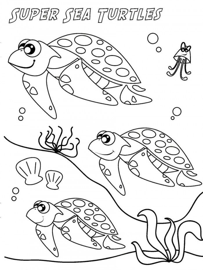 Sea Turtle Eggs Coloring Pages