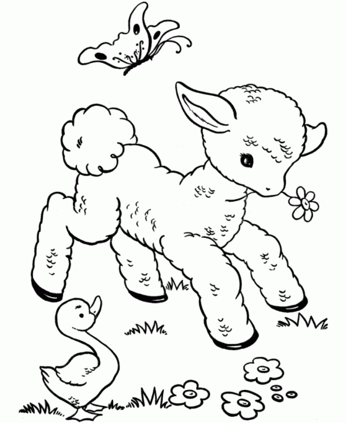 Cute Baby Animals Coloring Pages Picture
