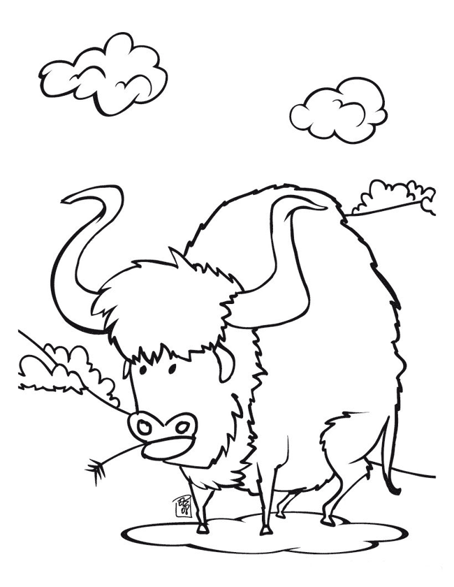 Buffalo coloring page - Animals Town - animals color sheet 