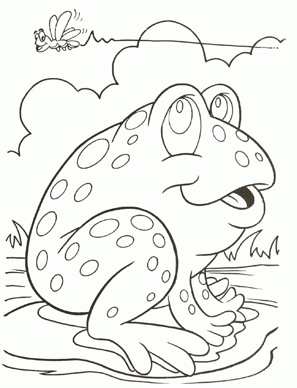 T is for toad! [coloring pages] | FROGS