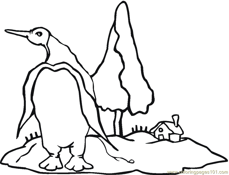 Animal Coloring Cute Penguin Birds Free Printable Coloring Page 