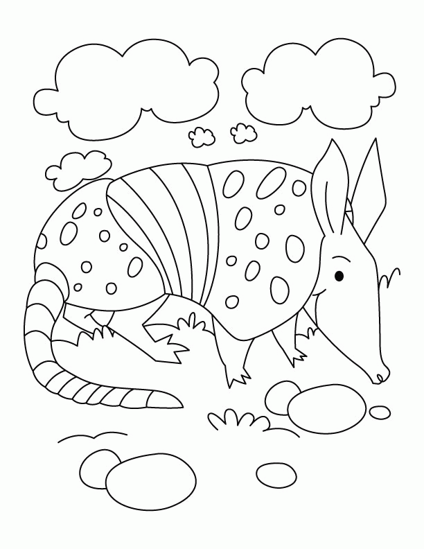Armadillo Coloring Page - Coloring Home
