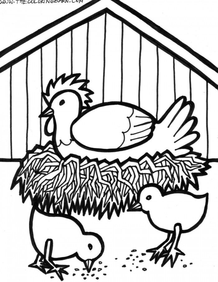 Simple Chicken Coloring Pages