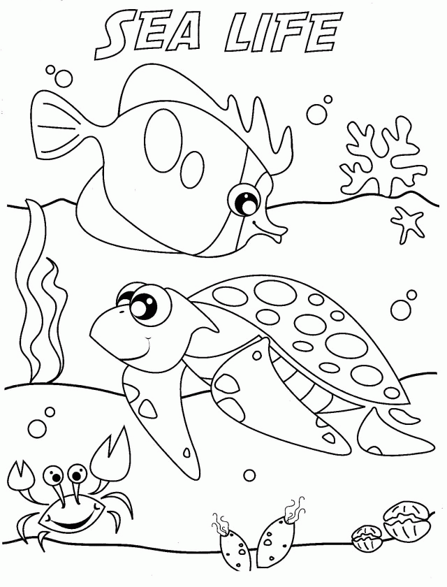 ocean life coloring pages preschool alphabet