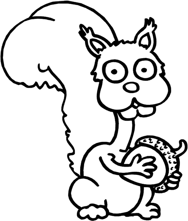 Disclaimer Earnings Squirrel Coloring Page Funny Animals Jumbo 