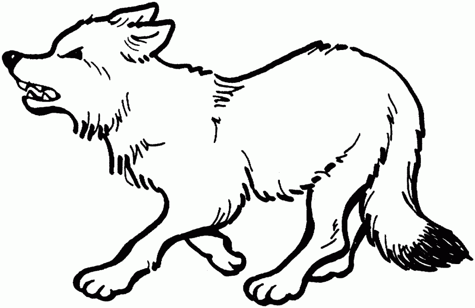 Realistic Fox Coloring Pages Printable Coloring Sheet 99Coloring 