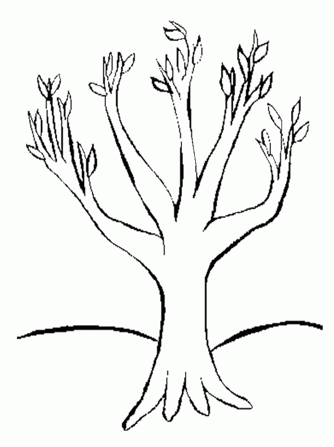 Download Tree With No Leaves Coloring Page - Coloring Home