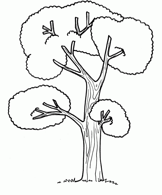 tree no leaves Colouring Pages (page 3)