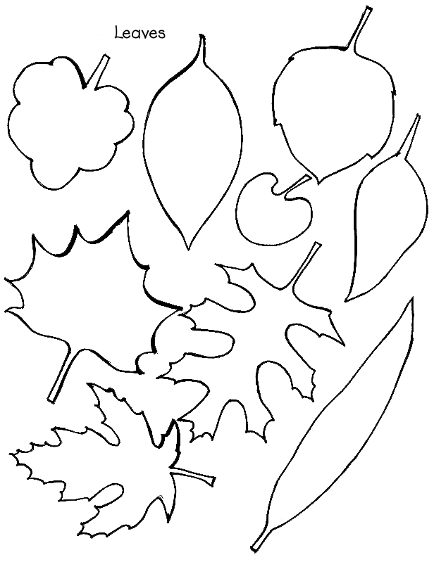 Tree Leaves Coloring Pages 98 | Free Printable Coloring Pages