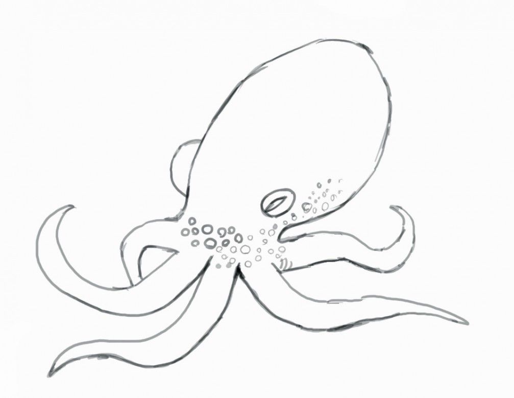 Simple Octopus Drawing For Kids Wallpaper | Free latest HD 