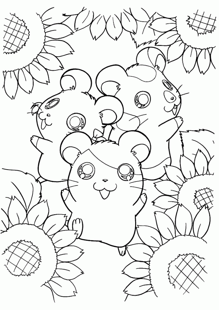 Hamtaro with Sun Flower Coloring Page | Kids Coloring Page