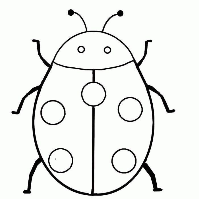 Lady Bug Coloring Page
