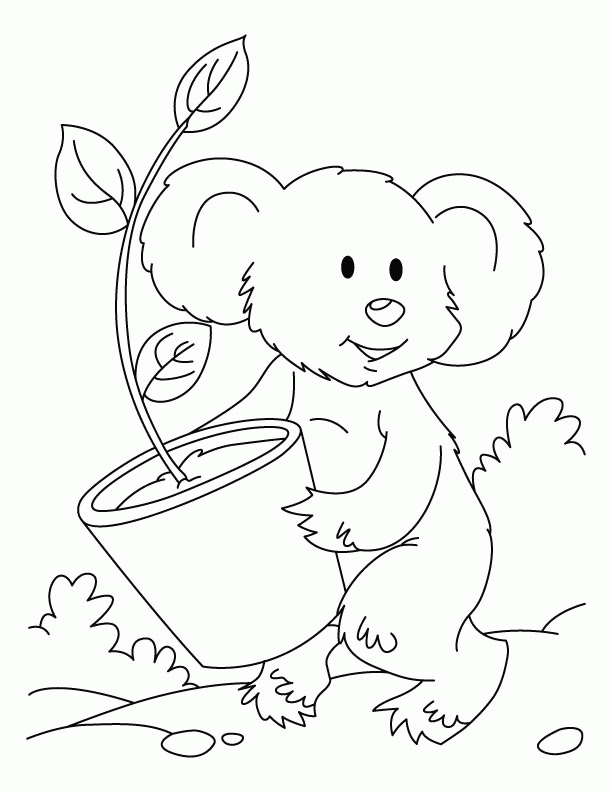 Free Koala Coloring Pages For Kids | Coloring Pages