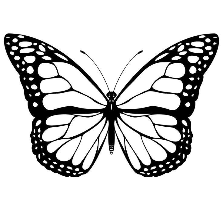 Free Printable Butterfly Templates Coloring Home