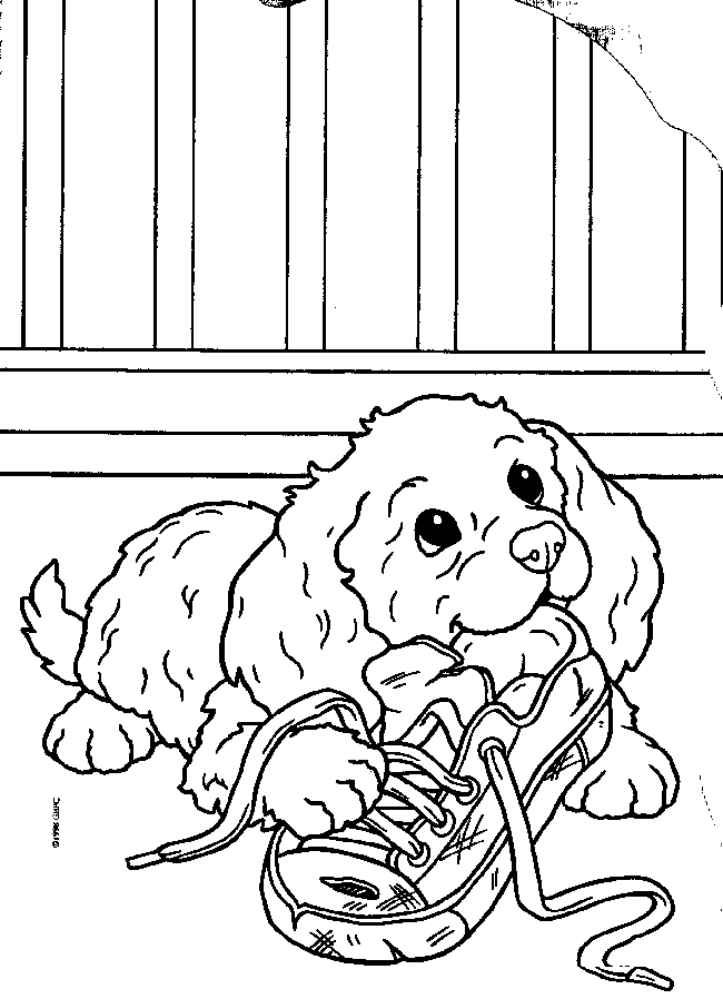 Coloring Pages Of Puppies To Print 6 | Free Printable Coloring Pages