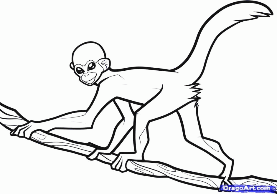 spider monkey coloring pages for kids