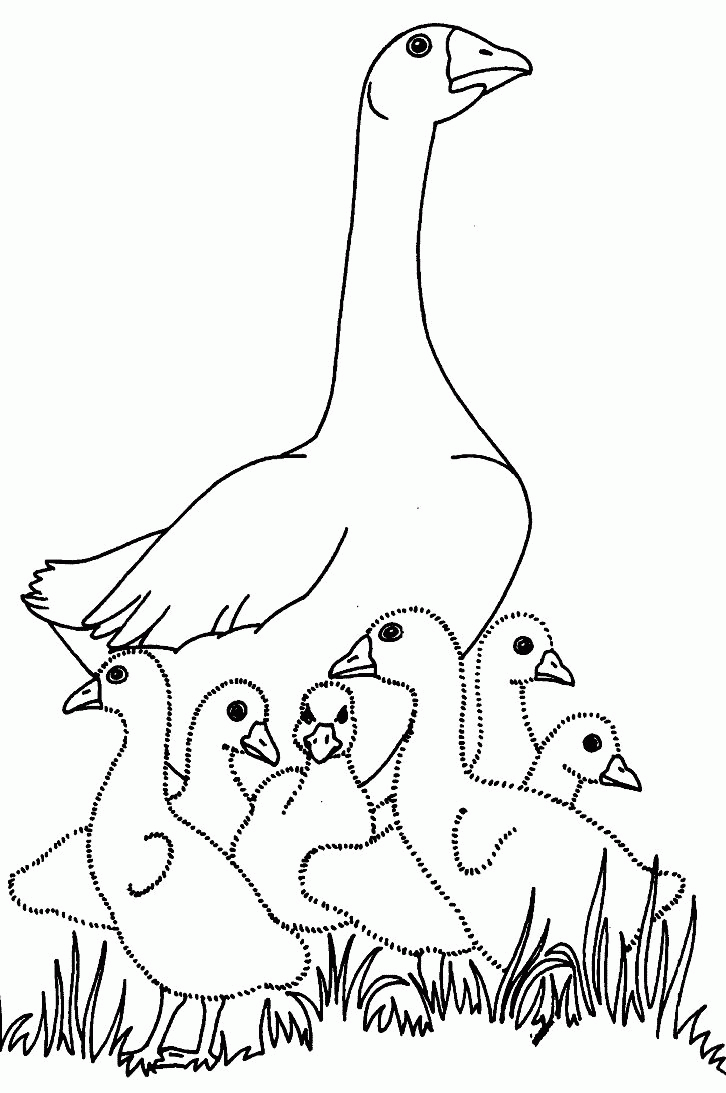 charlotte's web coloring pages | Geese Coloring Pages ...