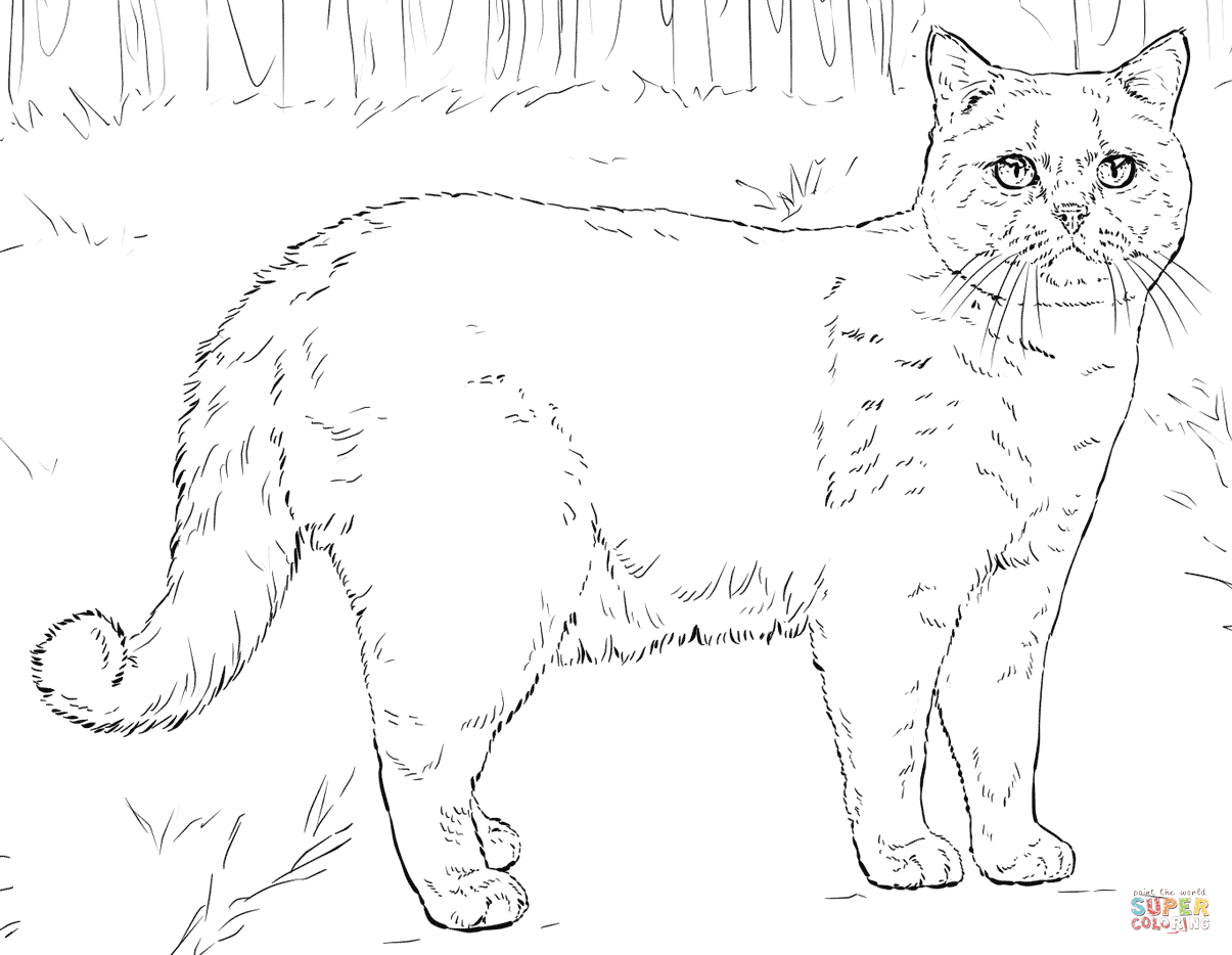 Cats coloring pages | Free Coloring Pages