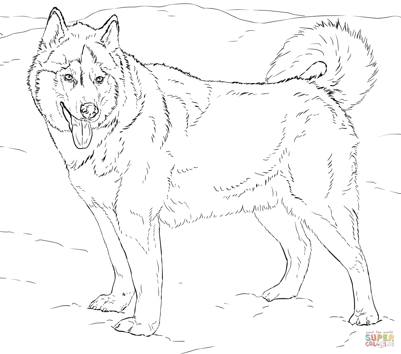 Alaskan Husky coloring page | Free Printable Coloring Pages