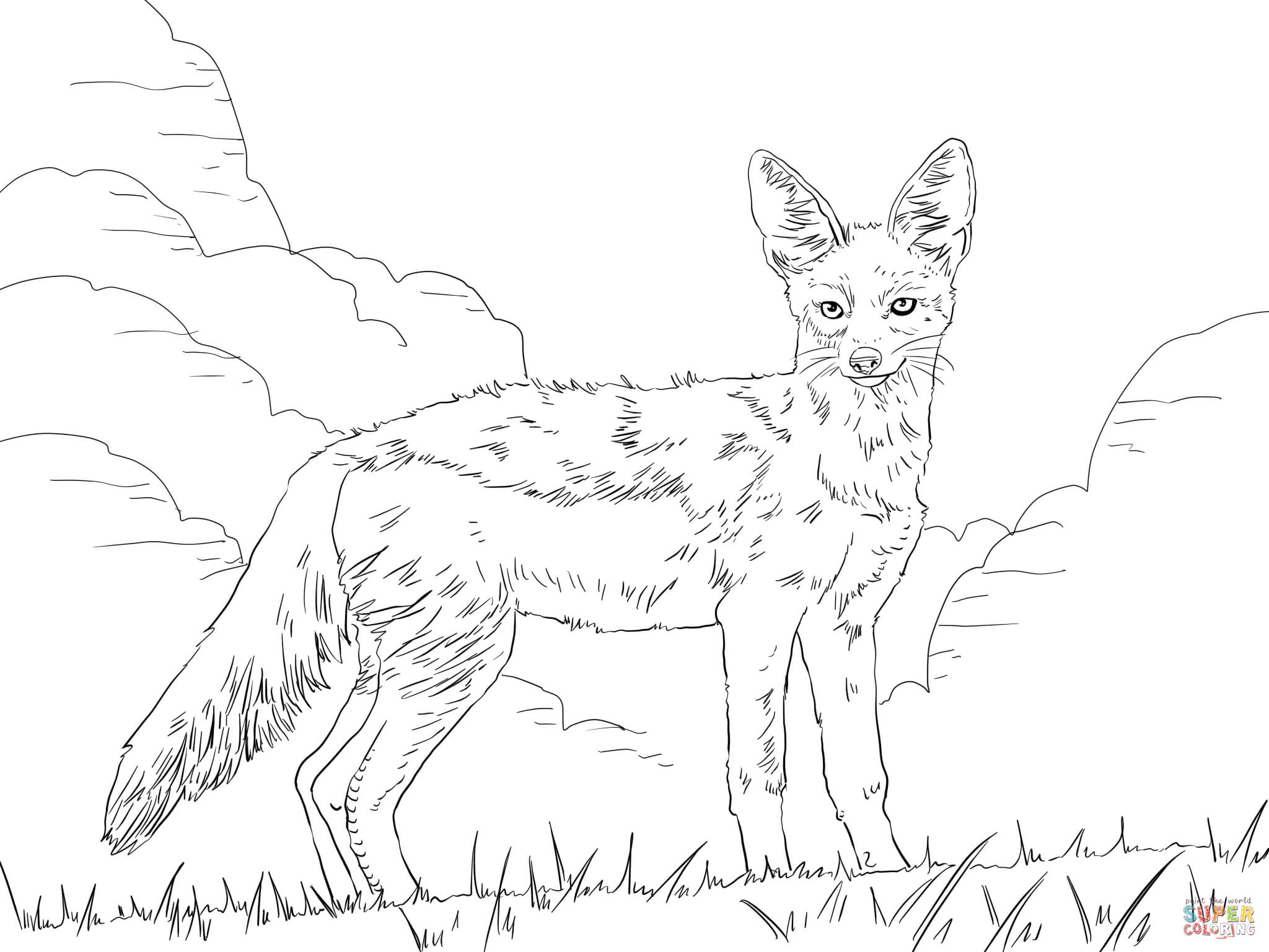 Side Striped Jackal coloring page | Free Printable Coloring Pages