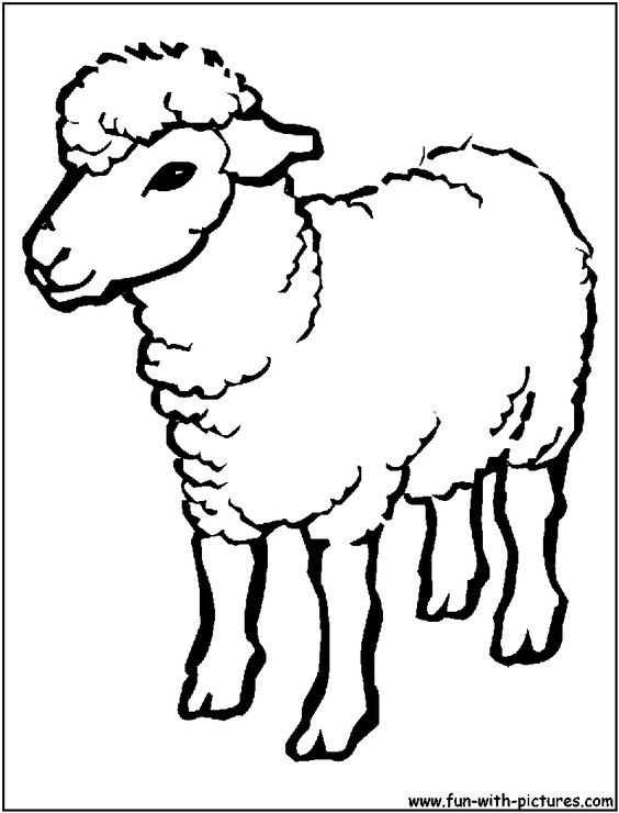Sheep Outline Drawing Coloring Page - sheep cartoon images funny ...