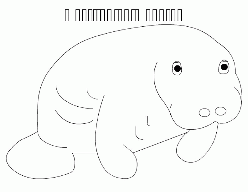 Manatee Coloring Page (17 Pictures) - Colorine.net | 2122
