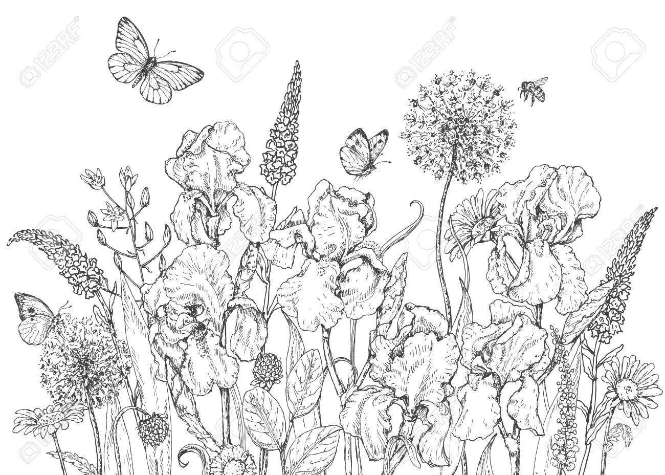 Download Wild Flower Coloring Pages Coloring Home
