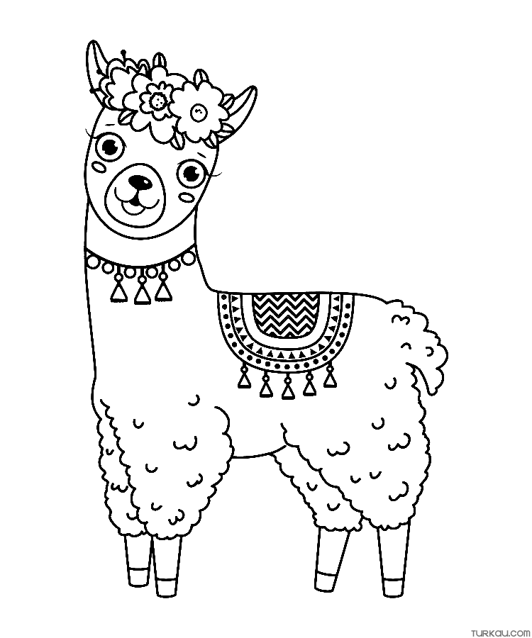 Animal Llama Coloring Page » Turkau