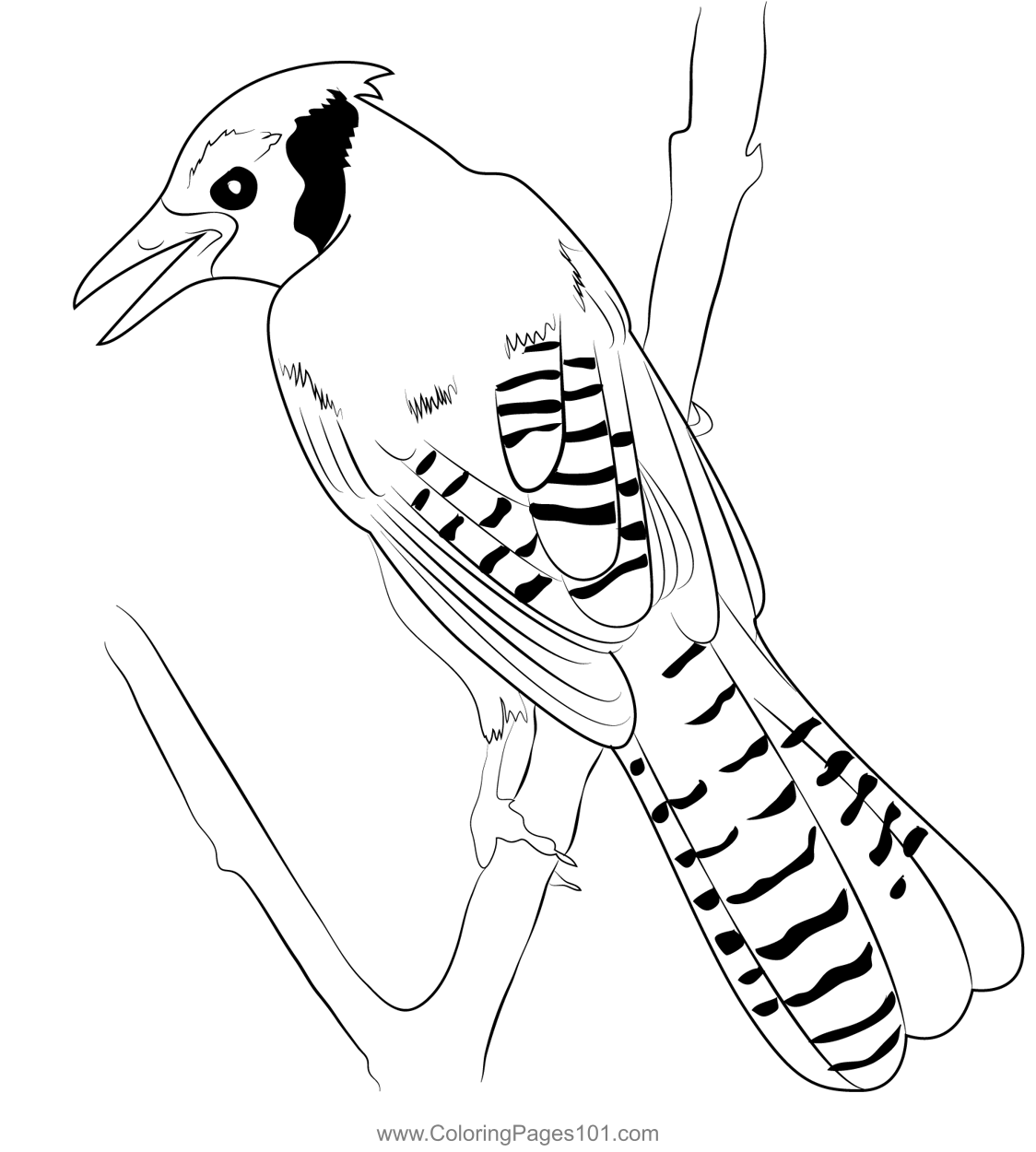 Bluejay In Tree Coloring Page for Kids - Free Crows Printable Coloring Pages  Online for Kids - ColoringPages101.com | Coloring Pages for Kids