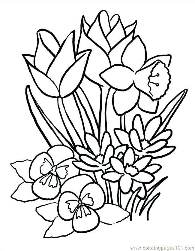 Pin on easter flower coloring pages