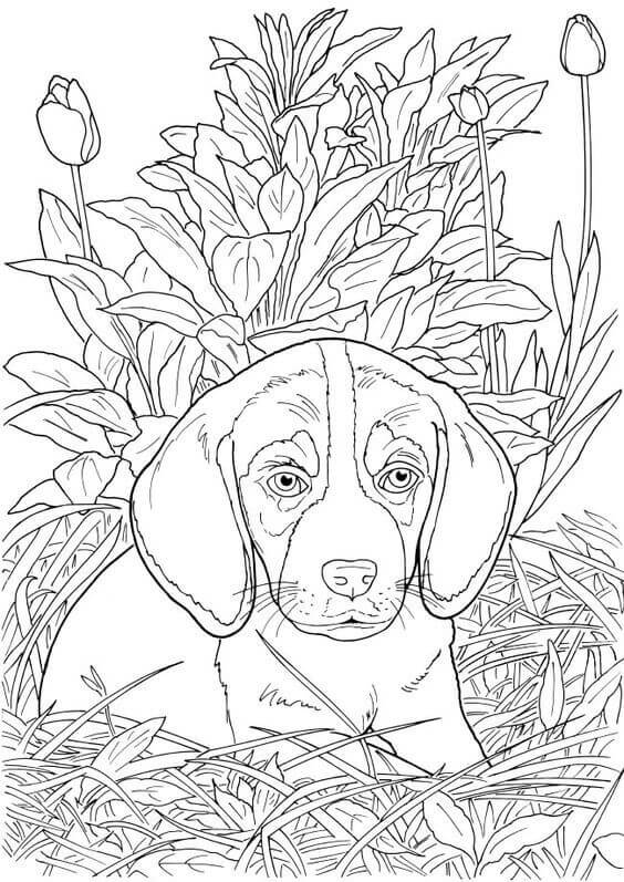 Free Printable Cute Dog Coloring Page Coloring Home