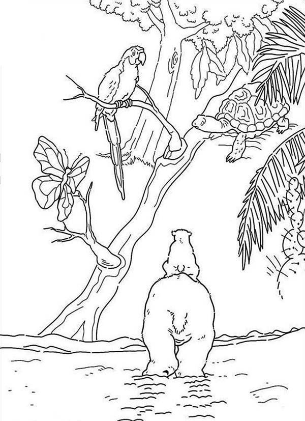 Lars the Little Saw a Parrot on a Tree Polar Bear Coloring Pages ...