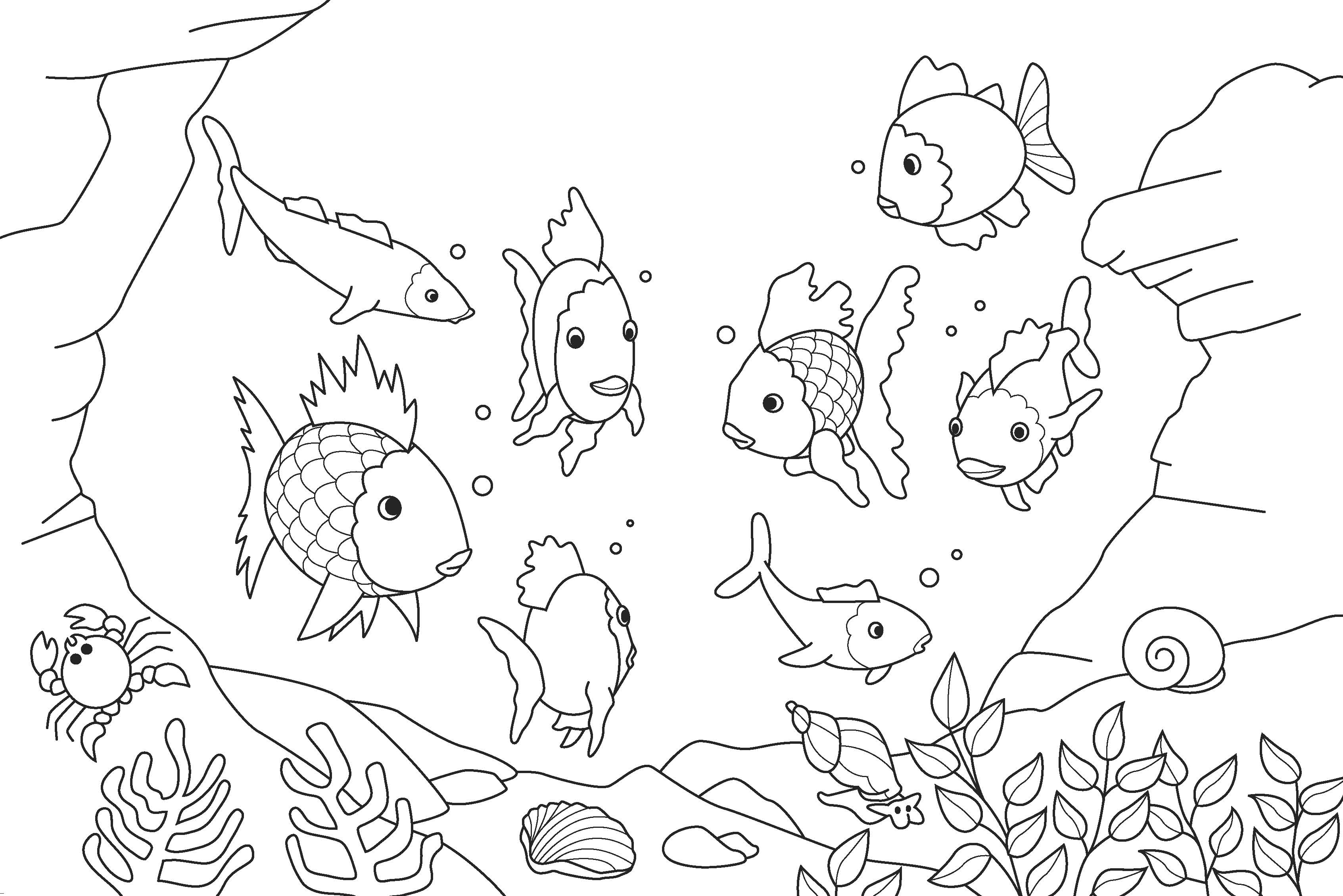 Rainbow Fish Coloring Page - Coloring Pages for Kids and for Adults