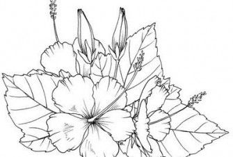 Free Coloring Pages Of Hawaiian Flowers - Coloring